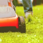 Pelouse : Ne gaspillez plus votre herbe coupée, 4 astuces pour la réutiliser