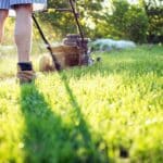 Tonte différenciée : Biodiversité et économie d'eau au jardin !