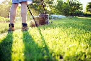 favoriser biodiversite au jardin avec la tonte différenciée