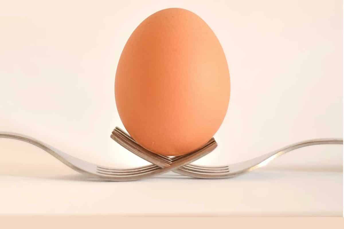bienfaits de l'œuf sur la santé