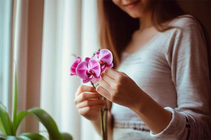 Comment tailler une orchidée