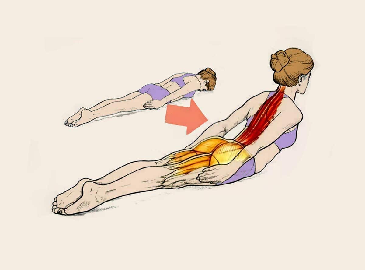 exercices pour maux de dos