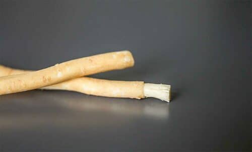siwak pour hygiène dentaire