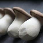 Cuisine aux champignons : Recettes automnales savoureuses pour ravir vos papilles