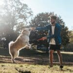Envie de bouger avec votre compagnon à 4 pattes ? Voici les sports faits pour vous