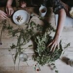 Les secrets de la phytothérapie pour une santé optimale au printemps