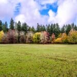 Régénération du sol en automne : découvrez les méthodes naturelles