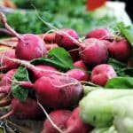 Les secrets pour une récolte exceptionnelle de légumes racines en automne