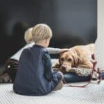 Comment garder votre animal actif à l'intérieur pendant les journées pluvieuses de septembre