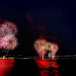 Animaux de compagnie : les précautions à prendre lors des feux d'artifice et fêtes en plein air