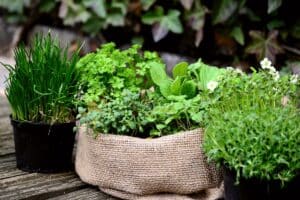 herbes