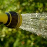 Comment garder vos plantes en vie pendant vos vacances : astuces d'arrosage de grand-mère