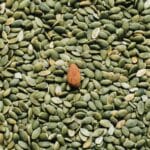 Tout savoir sur l’huile de pépins de courge et ses bienfaits pour la santé