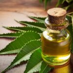 Pourquoi l’huile de neem est un incontournable des soins naturels