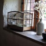 Cage pour oiseaux : comment créer un espace où ils se sentent vraiment bien