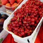 4 recettes délicieuses à faire avec des groseilles fraîches