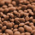Lentilles vertes, rouges, noires ou blanches : laquelle choisir selon vos plats ?