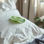 Glissez cette feuille relaxante sous votre oreiller et retrouvez un sommeil de bébé !