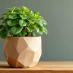 Cette astuce absolument géniale vous permet de créer vos propres pots de fleurs solides tout en recyclant vos cartons !